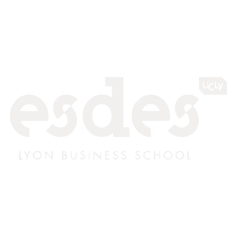 ESDES logo