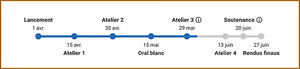 Program timeline